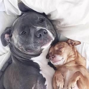 Meet your Posher, Andre